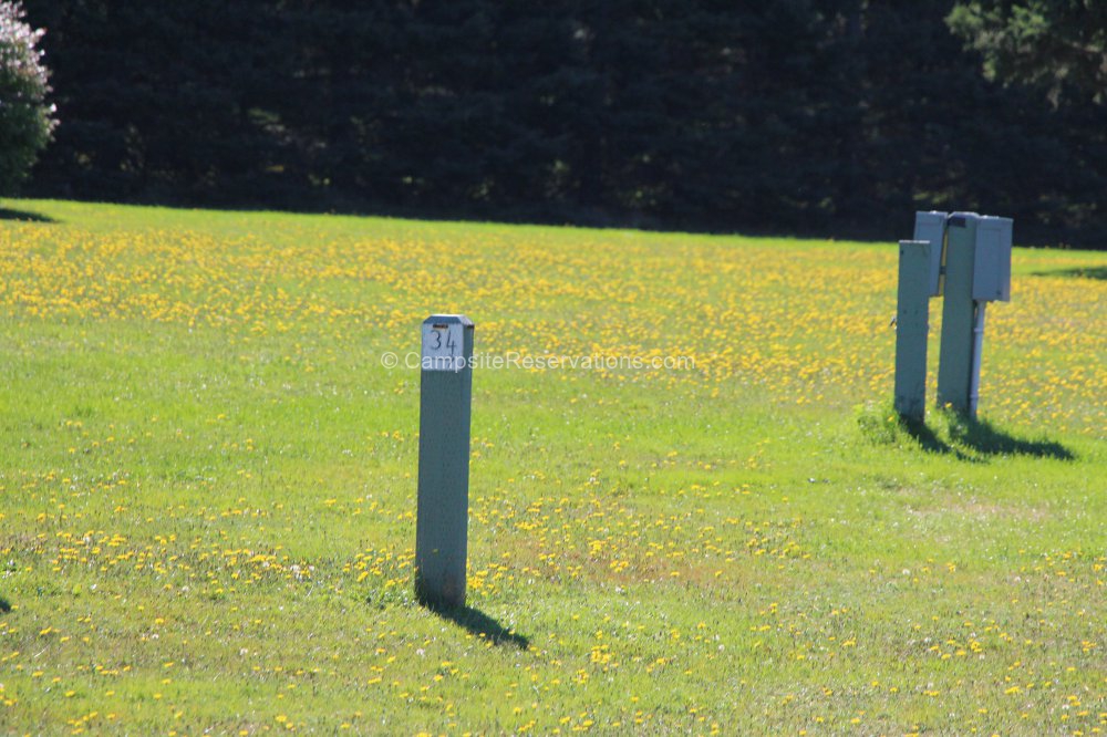 Campsite 34 in Panmure Island Provincial Park Campground at Panmure